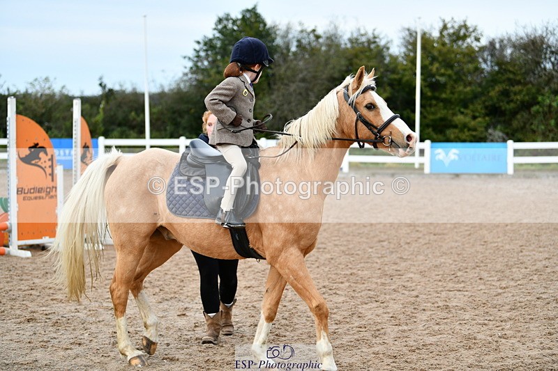 241013B-092208-00173 - Cls 1 Clear Round