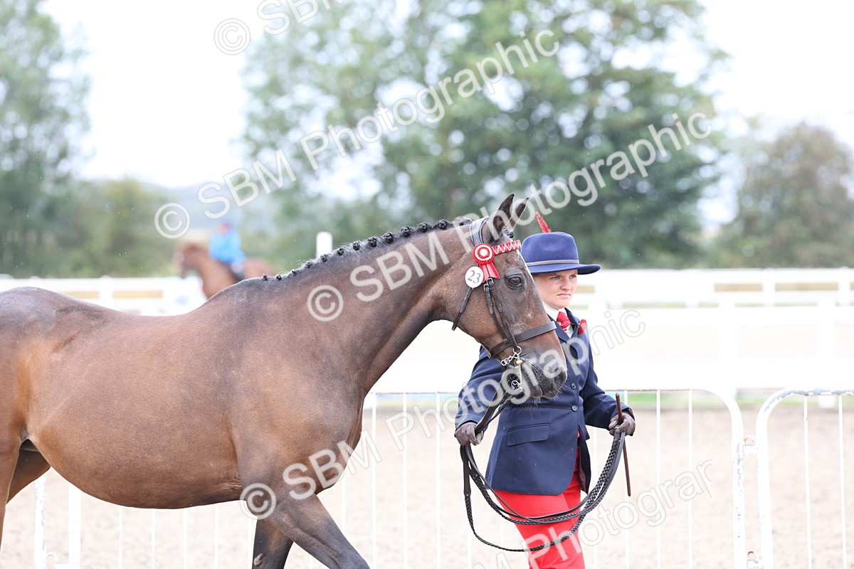 SBM_00010 - Class 50 - Best Turned Out IH