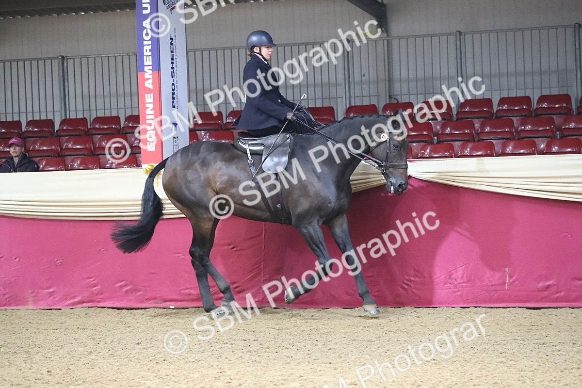 SBM_10372 - Class 102 Equitation (best rider) Adult