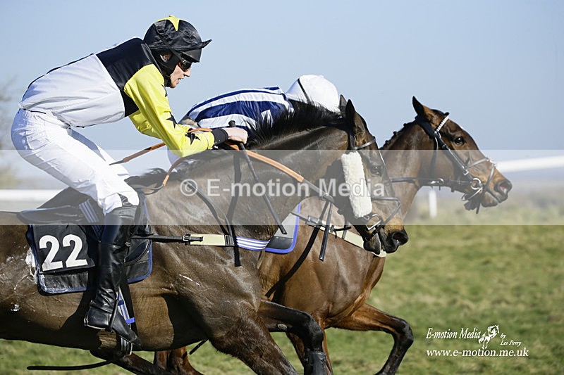 PtP 270222 112 - South & West Wilts Point-to-Point Larkhill 27/02/22
