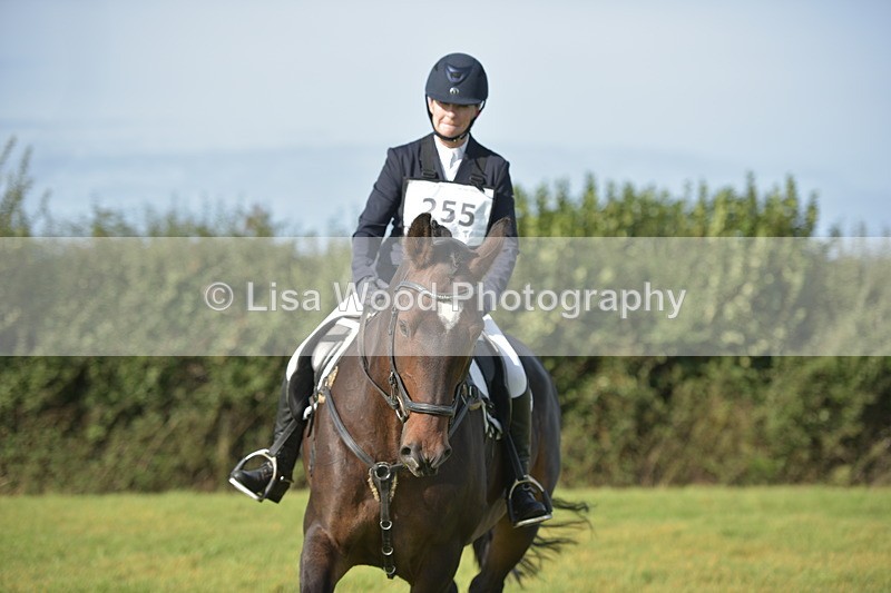 RAY_7468 - Class 2B: Trekenning Open: Dressage