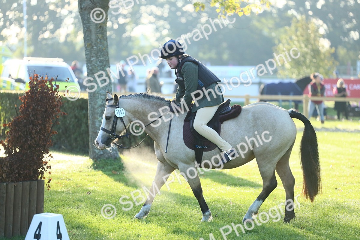 SBM_37270 - S29 - Novice & Newcomers Working Hunter Pony