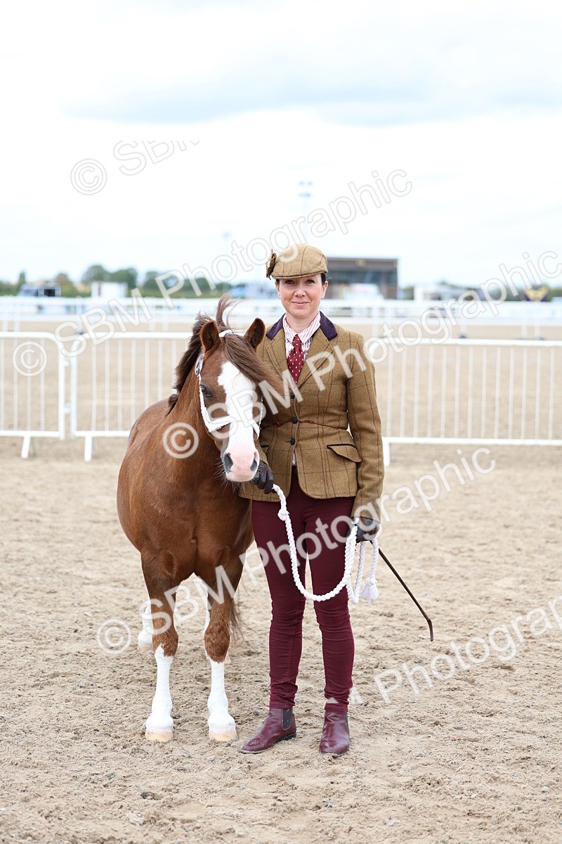 SBM_05926 - Class 29 - IH Veteran Pony