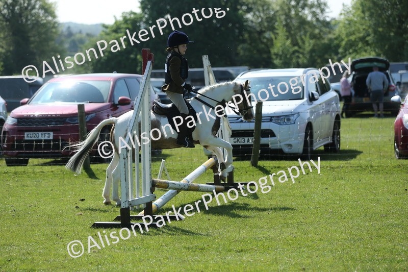 20250427-1888 - Class 2 - Mini Jumping 30cm