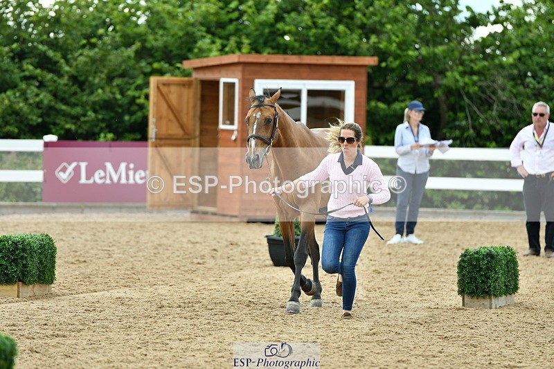 230719A-160100-01065 - Trot Up 4pm to 5pm