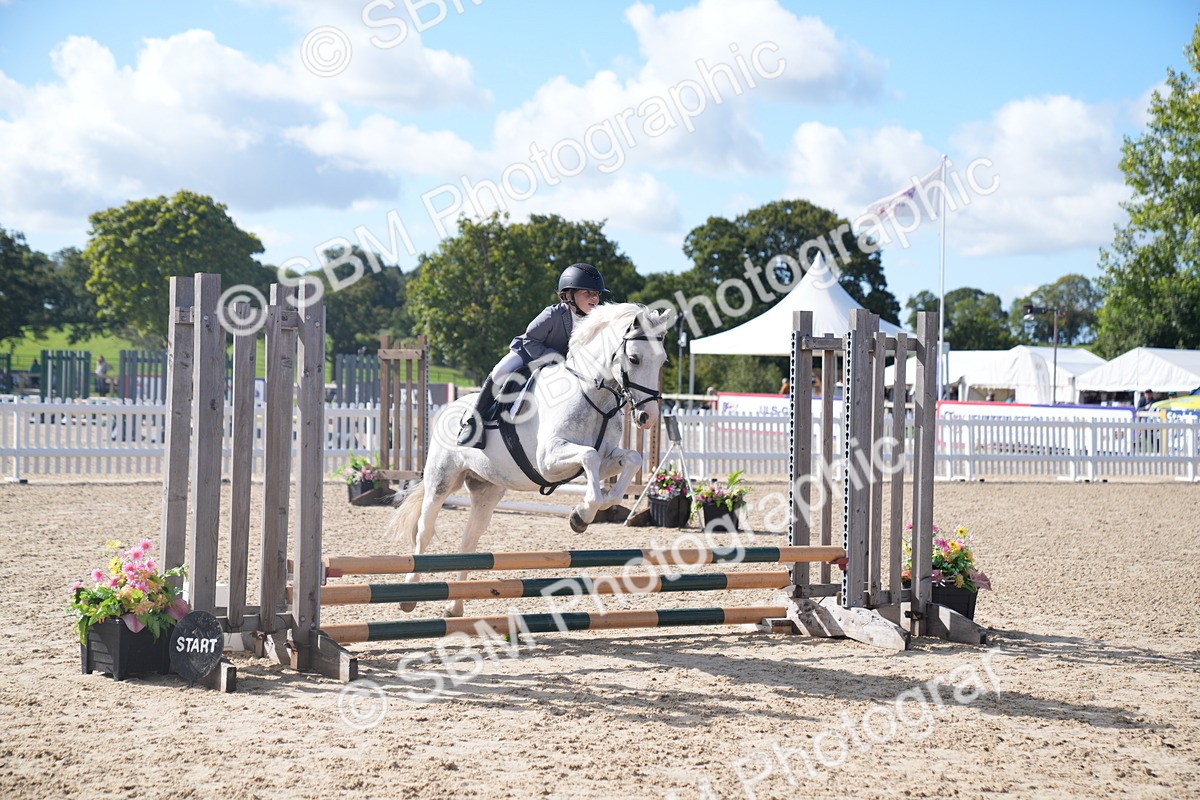 SBM_02457 - J54 Clear Round 45cm