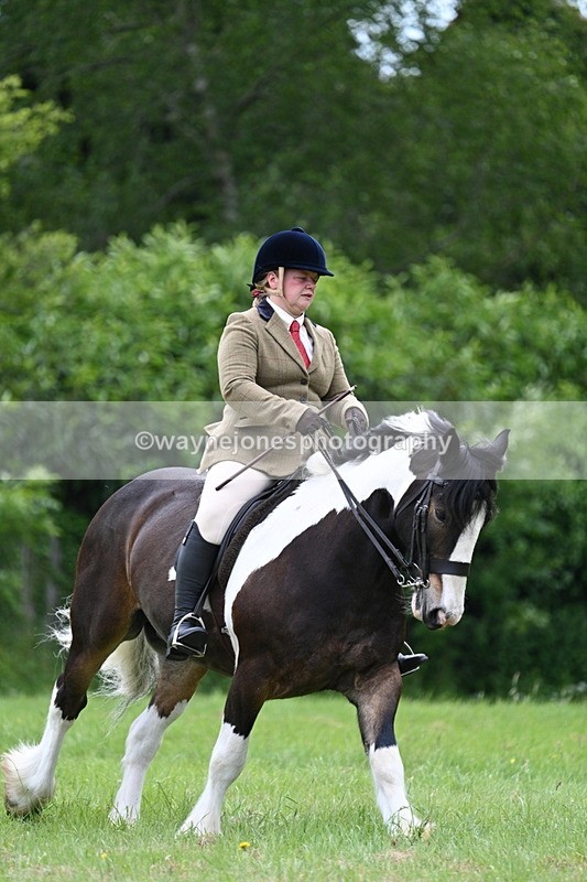 WJ7_2360 - Class 12A Coloured Class
