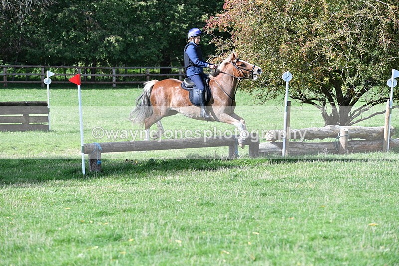 WJ5_8195 - Time 10:31 to 12:01