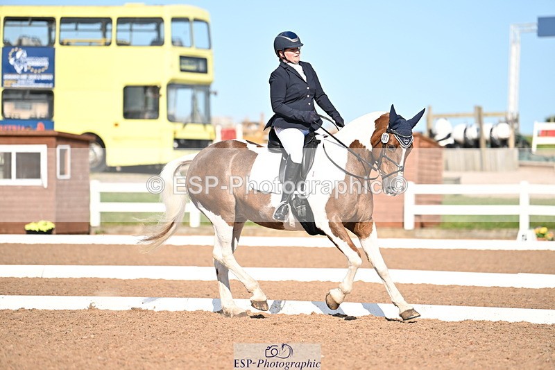 240816A-165107-06289 - 307-Rachel.Cook-Tiger.lily.vi