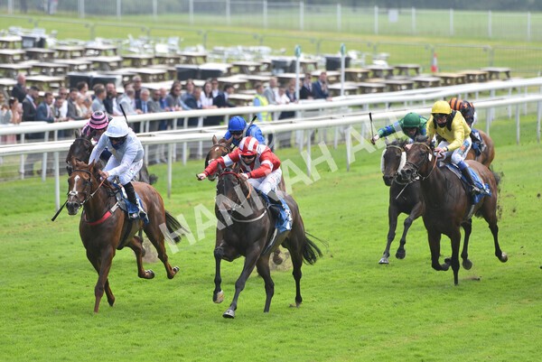 yr10072021r1-14 - Race 1: 1.45pm John Smith's Racing Stakes