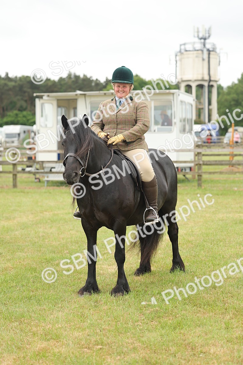 SBM_09023 - Class 78-80 - Ridden M&M Non Welsh Ponies