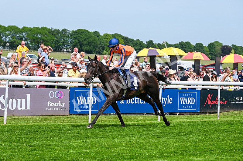 300526-Race 1-Sportingsilvermine-4156 - Race 1 13.45pm Napoleons Casino Hull Handicap