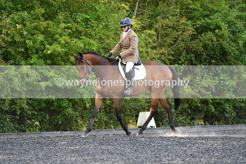 WJ5_8538 - Time 09:00 to 09:23