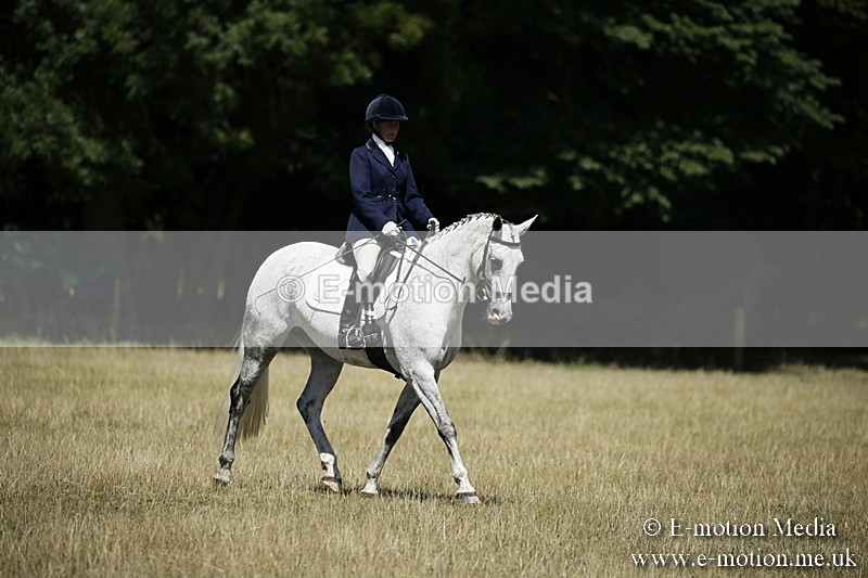 LP220718-11 - Roving Camera BVRC Show 2018