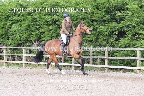 BPP_6971 - RING 1  (RIDDEN HORSES / IN HAND / VETERAN ETC)