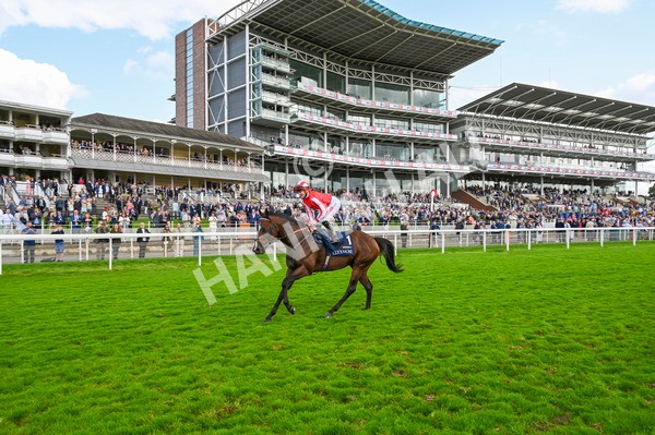 230824-Race 4-Bradsell-9051 - Race 4 3.35pm Coolmore Wootton Bassett Nunthorpe Stakes