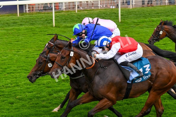 100923-Race 6-Anjo Bonita-1086 - Race 6 4.25pm Hanson Springs 60th Anniversary Handicap at York