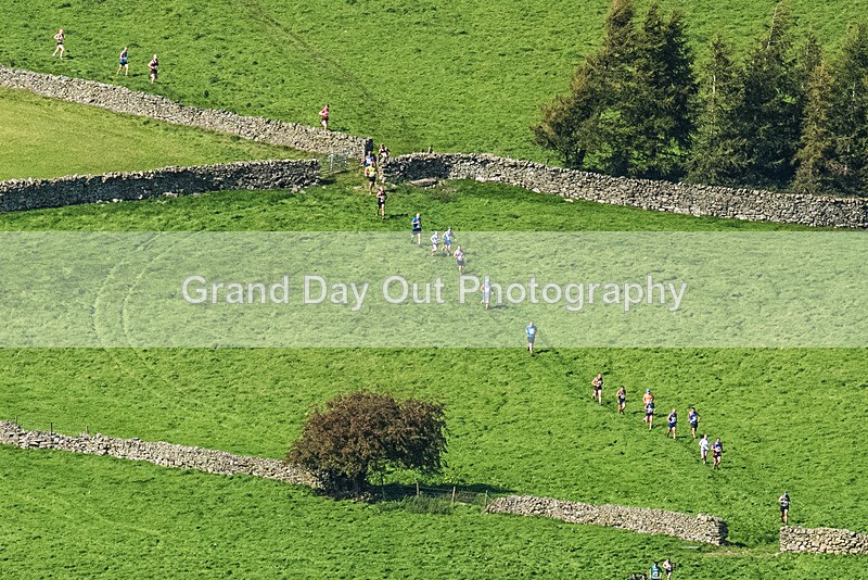 Loweswater Show-229 - Loweswater Show Junior & Senior Fell Races Sunday 3rd September 2023
