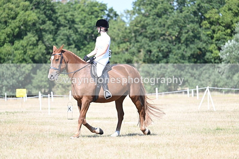 WJ7_0019 - Time 11:03 to 11:28