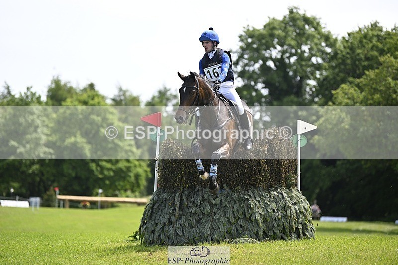 240525-141125-14880 - 162-HAZZLE_DAZZLE-Henry_Hobby