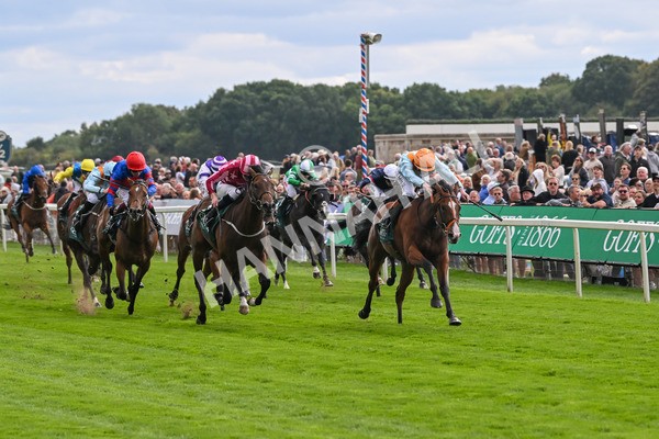 210825-Race 2-Song Of The Clyde-3962 - Race 2 2.25pm Harry's Half Million By Goffs