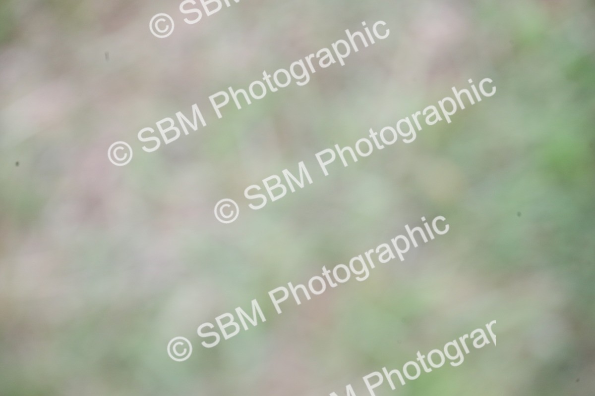 SBM_05707 - Class 12-15 - HOYS Private Driving