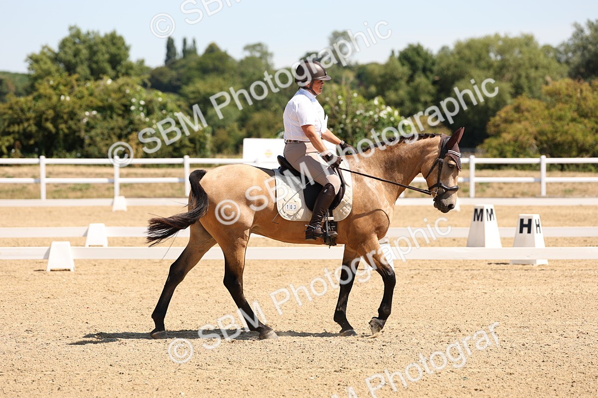 SBM_001225 - Intro 2