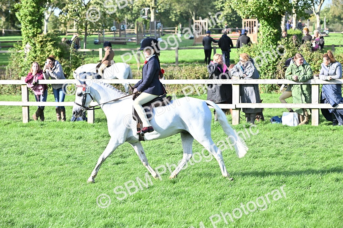 SBM_51221 - S22 - First Ridden show and show Hunter Pony