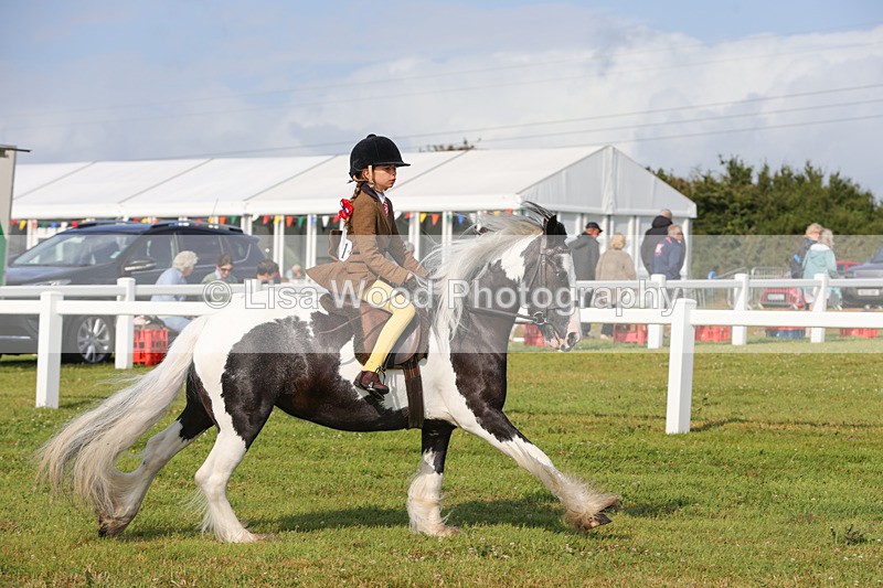 1X9A3252 - Class 28: Ridden Native/Trad Coloured Pony