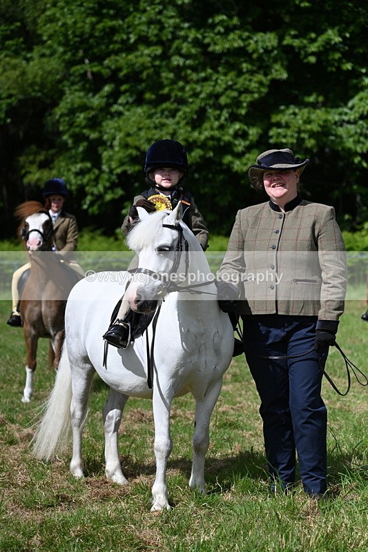 WJ7_0855 - Class 8 First Rally Pony