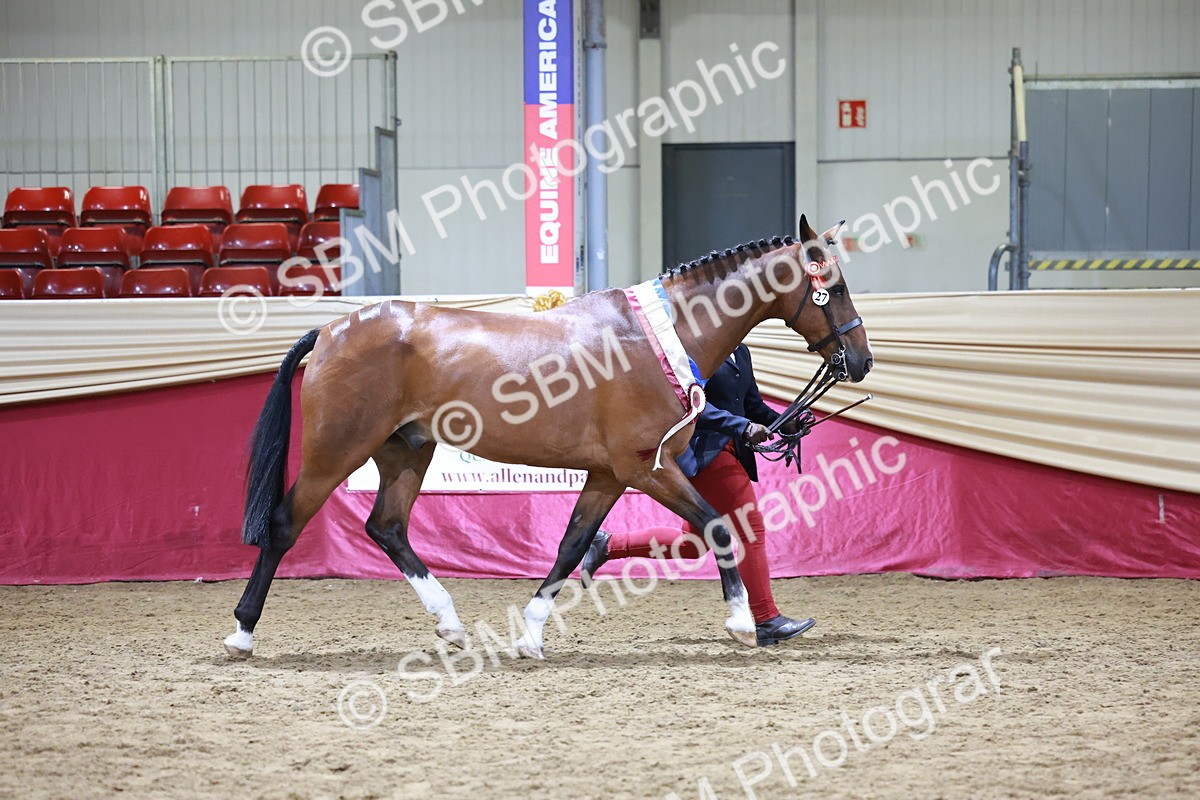 SBM_20154 - Class C - Novalty Champ