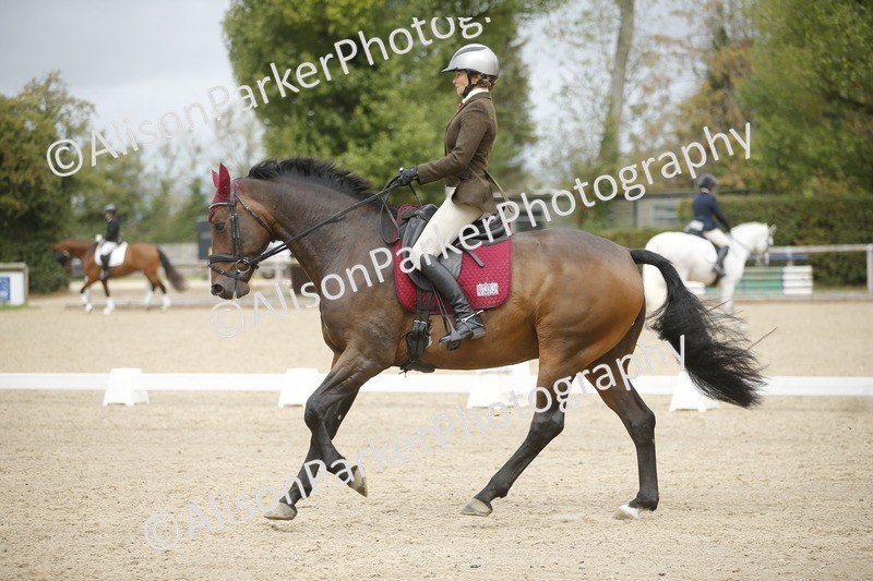 20260913-0236 - Class 3 - Novice 5
