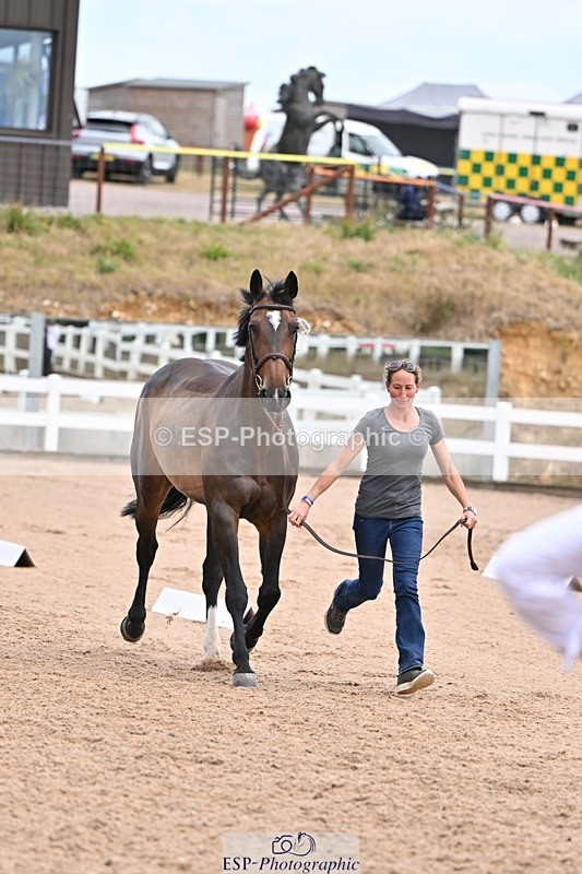 250716-135712-00809 - Trot Up 1.30 to 2.30