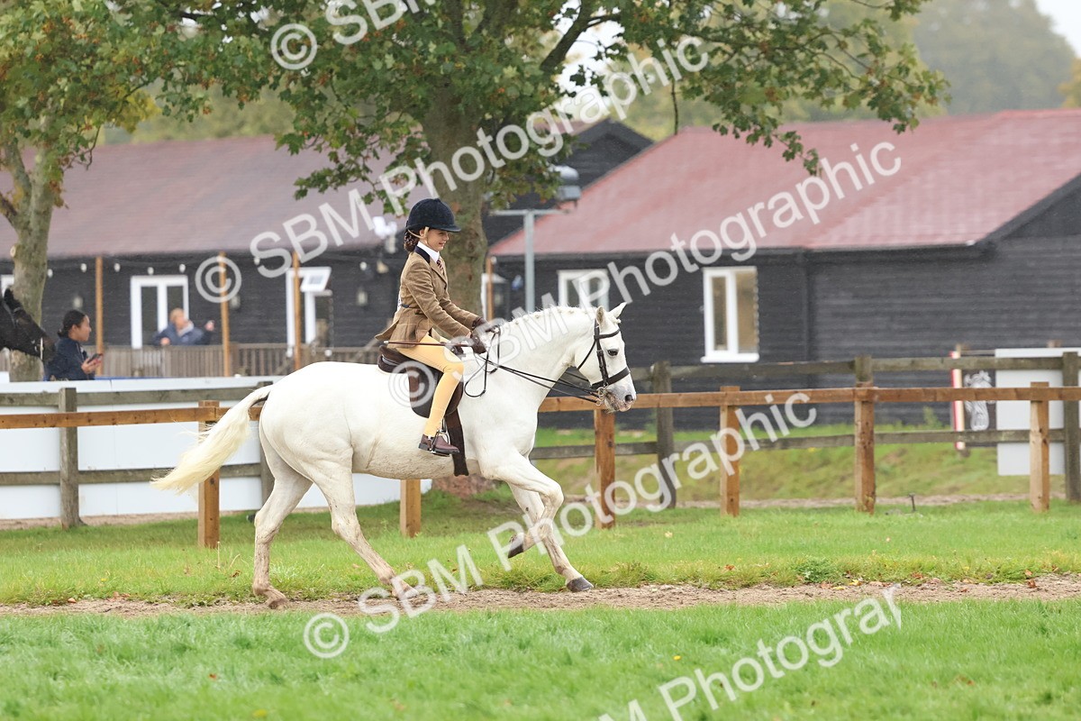 SBM_73046 - S63 Show Pony & Show Hunter Pony Ridden