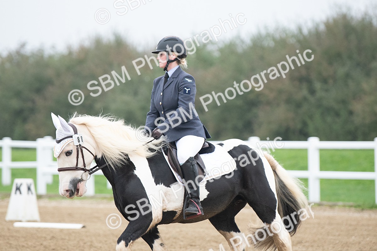 SBM_003364 - Introductory Test 3