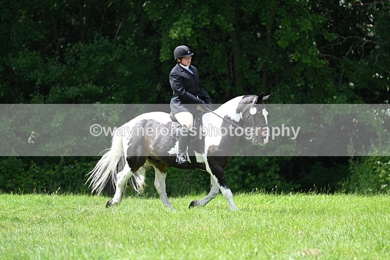 WJ7_2653 - Class 12A Coloured Class