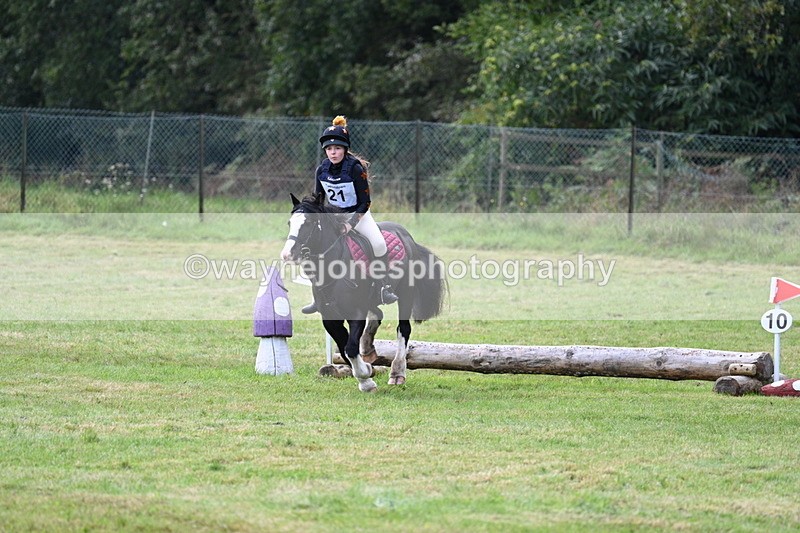 WJ7_8018 - 40cm Time 10:49 to 11:18
