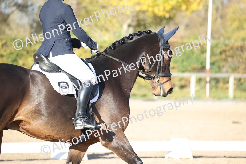 20251102-1200 - Class 7 - Medium 5