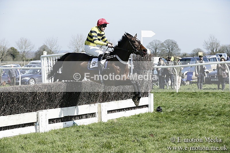 PtP 260317 62 - Mendip Farmers Point-to-Point Ston Easton 26/03/17