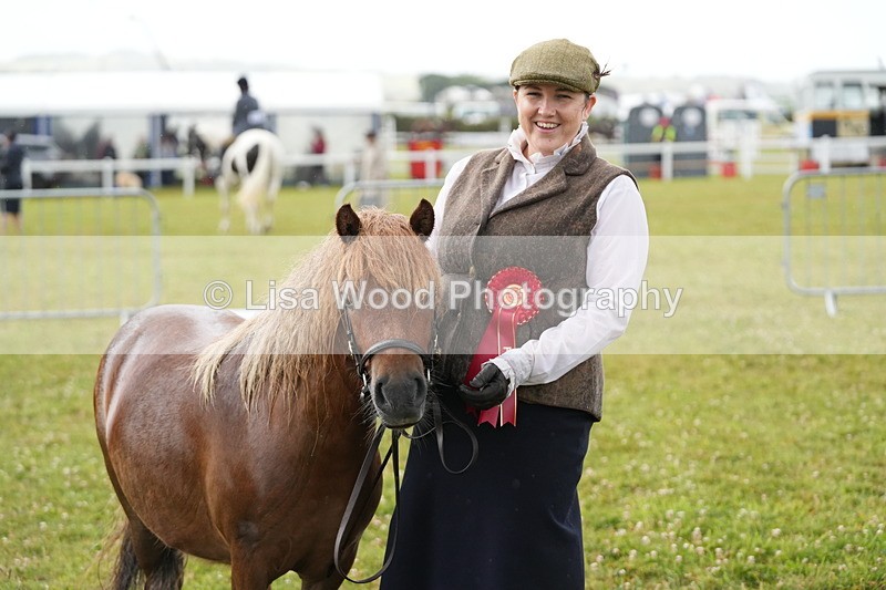 DSC04644 - Class 46: NPS Shetland Youngstock