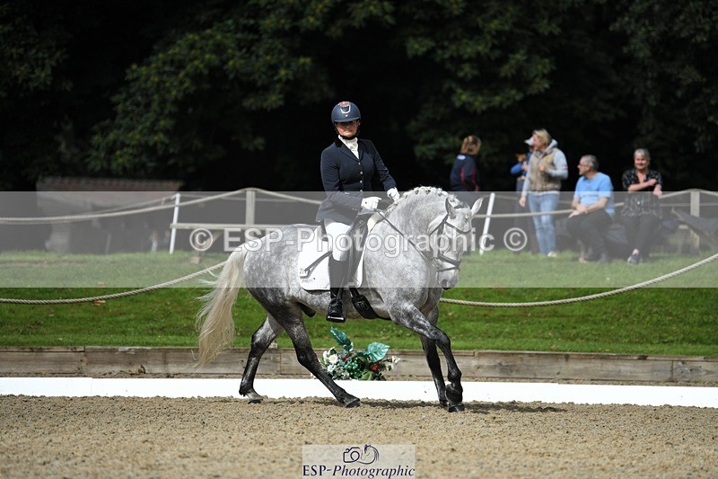 230812-104101-03439 - Cls 6 Novice Silver 10.30 to 11.55 break