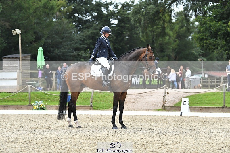 230812-124844-04223 - Cls 6 Novice Silver 12.10 to End