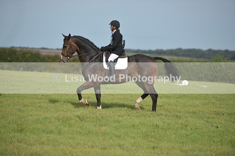 RAY_7929 - Class 2B: Trekenning Open: Dressage