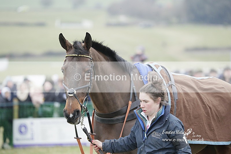 PtP 040323 623 - Duke of Beauforts Hunt Point-to-Point Didmarton 04/03/23