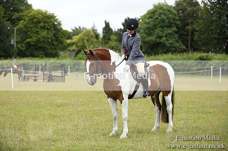 BVR160717-80 - Ring 1 BVRC Show 16/07/17