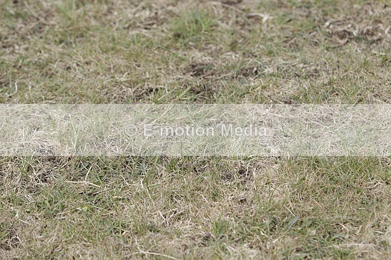 BVHT 140517 I-786 - Class 1 SJ Intermediate 14/05/17