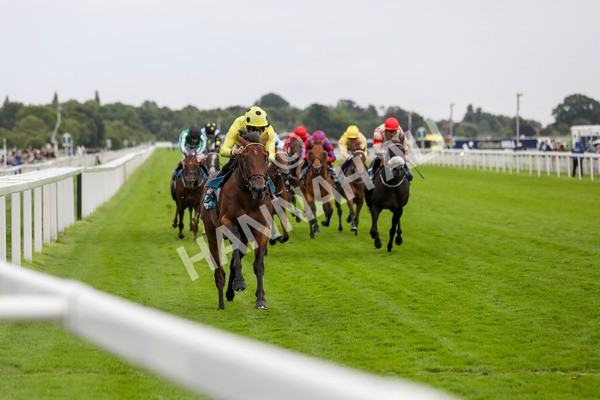 120724-Race 5-Sisyphean-1769 - Race 5 4.20pm George Blades Memorial Handicap