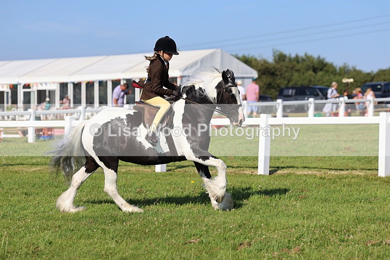 IMG_1508 - Class 30: Ridden Native/Trad Coloured Pony