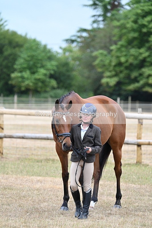WJ7_9895 - Class 5a Most Handsome Gelding (above 14.2hh)