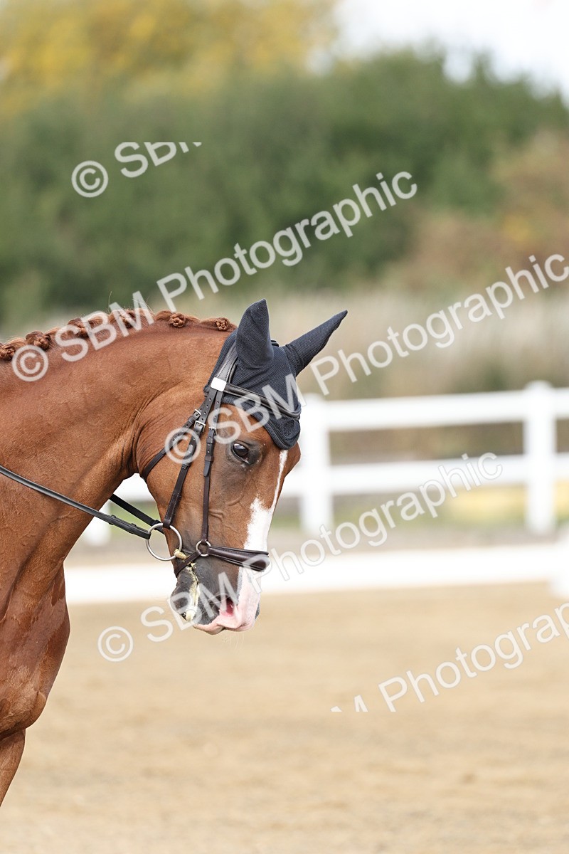 SBM_017474 - Class 12-14 - Intro 2-Prelim 5